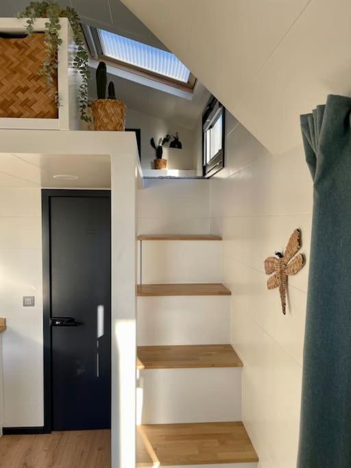 Tiny House With Sauna & Jacuzzi Near Amsterdam Vijfhuizen Bagian luar foto